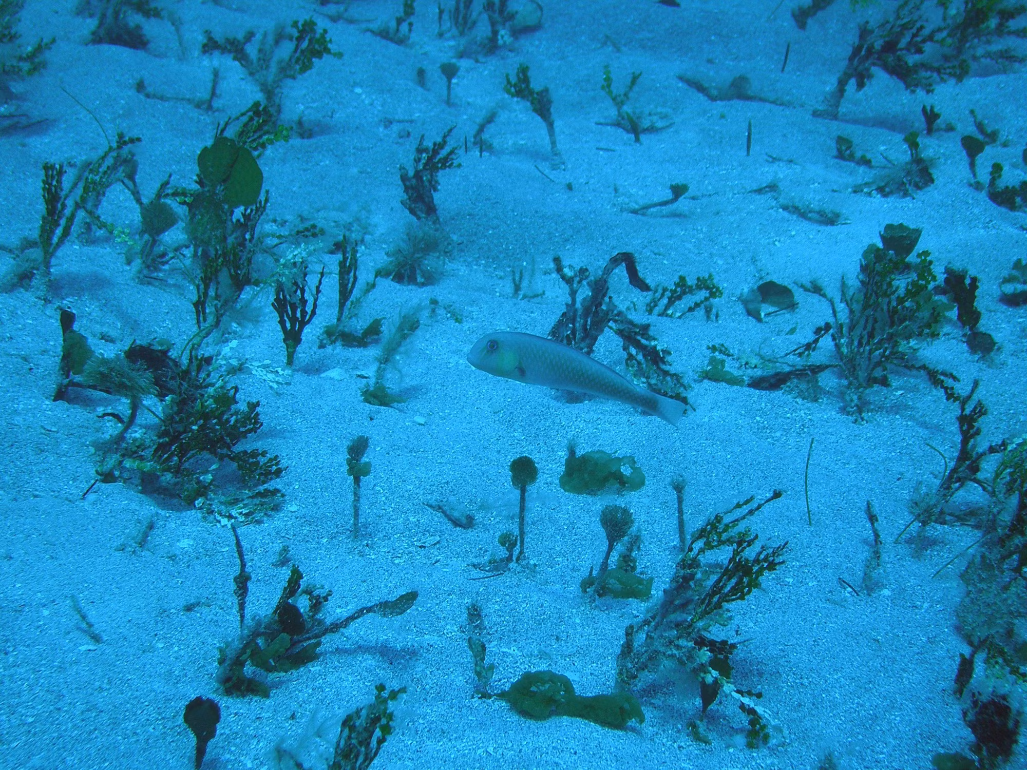 Discovering the Mystique of Inland Seas: A Journey Through Time and Water