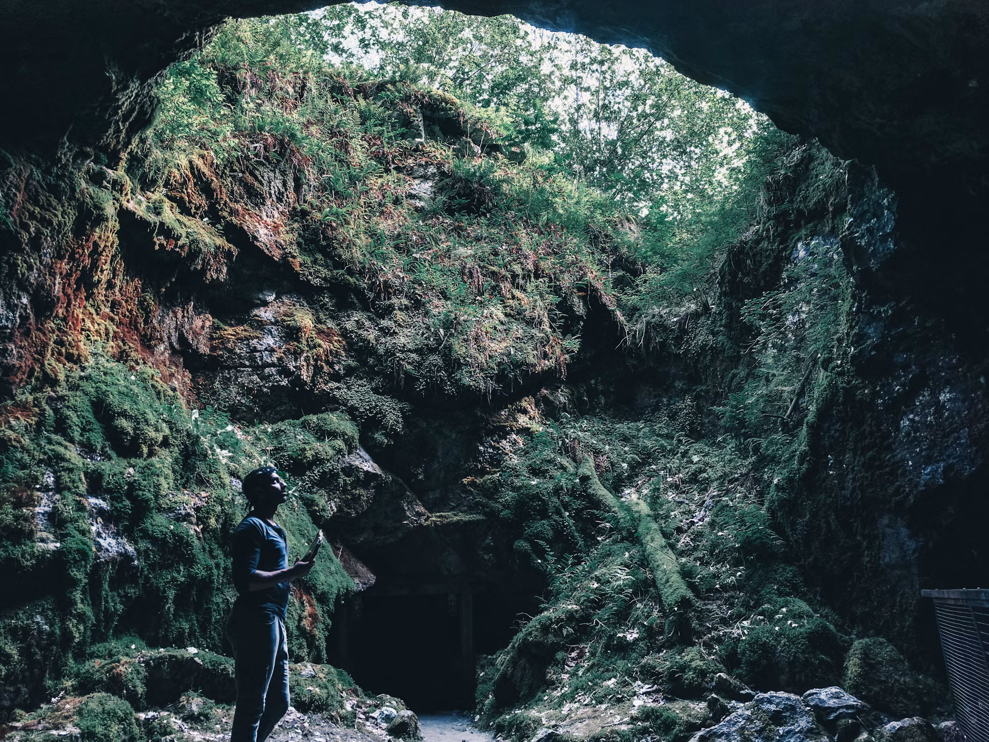 Camping Essentials: Your Ultimate Guide to Outdoor Gear